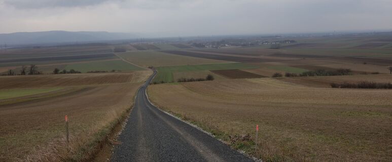 Aufstieg zum Waschberg