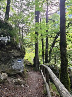 Foto von Martin Schaumberger entlang der Tour