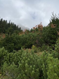 Foto von Ster entlang der Tour