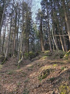 Fotografie z Sven na trase