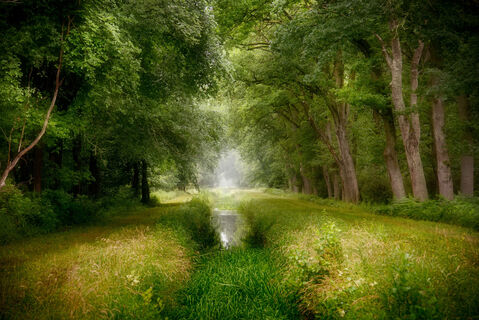 Waldgraben in Stapel