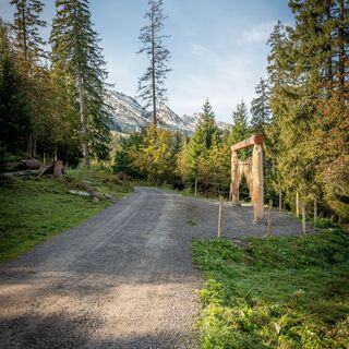 Toggenburg - Klangweg Toggenburg - Herbst - 2020