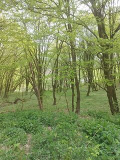 Photo de Ozlajos le long du parcours