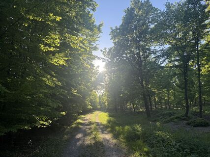 Foto de Bine Pan a lo largo del recorrido