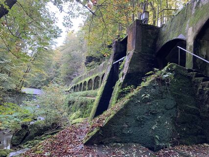 Foto von Evelin Wagner entlang der Tour