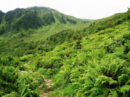 Aufstieg zur Edelhütte