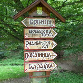 Zemljevid