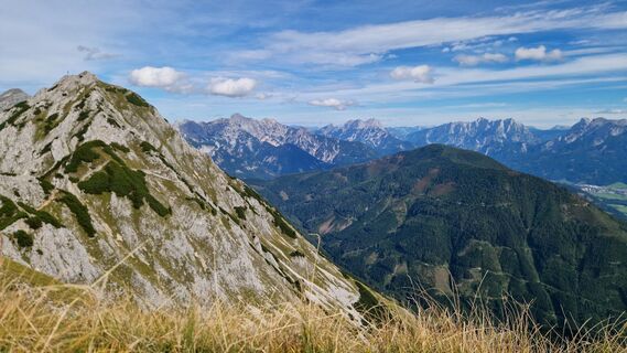 Fotografia z Jürgen Fuchsberger na trase
