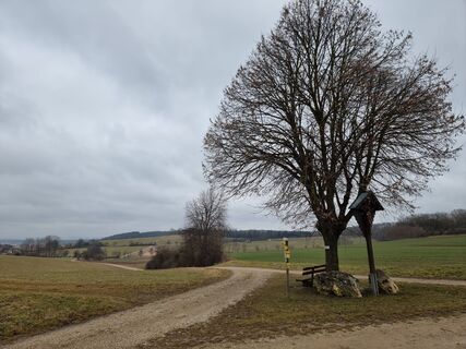 Foto de Felix a lo largo del recorrido