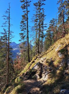 Foto von dummy125 entlang der Tour