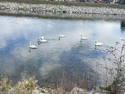 Fotografie de la Adi H. de-a lungul turului