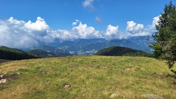 Foto von Susi Puhl entlang der Tour
