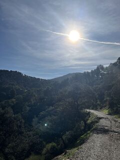 Foto från Hanna Sommersacher under resans gång