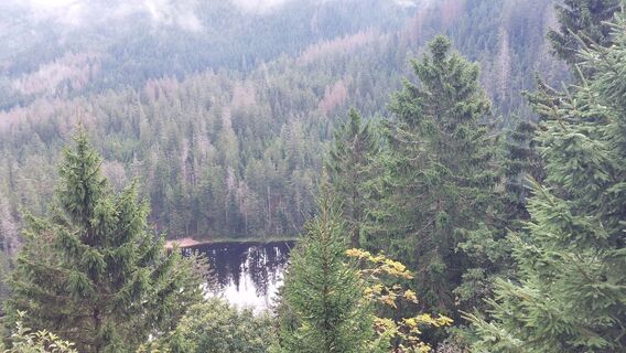 Zdjęcie z Johann Helminger wzdłuż trasy