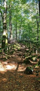 Photo de Matthias Weibel le long du parcours