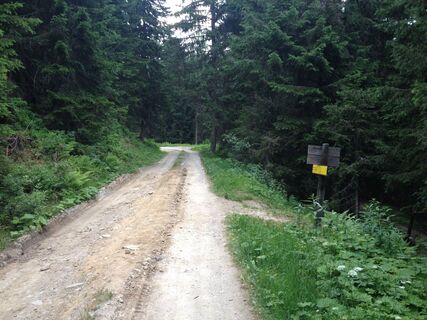 Wegkreuz 61-773 auf dem oberen Forstweg