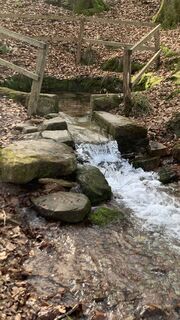 Fotografija s spletne strani outdoor_rue na poti