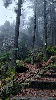 Foto von Fantom RoK entlang der Tour