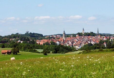 Blick auf Rottweil