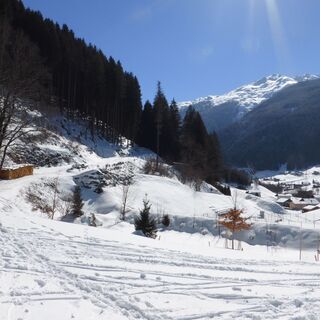 Beginn Kilknerwald