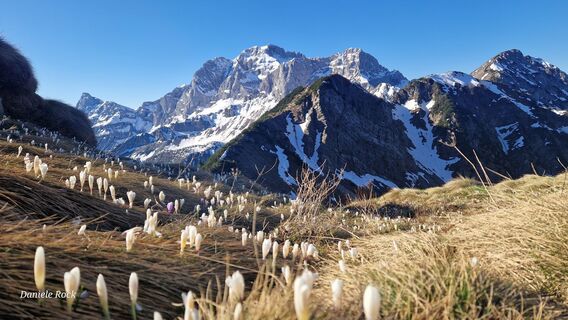 Zdjęcie z Daniel (Rustico) wzdłuż trasy