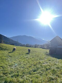 Fotografie z Lena Désirée na trase