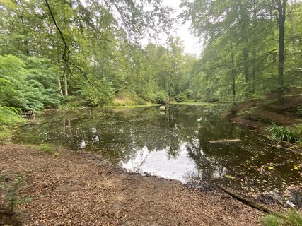 Foto von Arthur Muskalla entlang der Tour