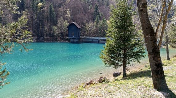 Photo de Martina Ursic75 le long du parcours