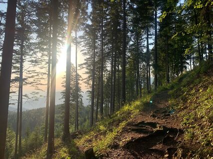 Wanderweg Pinkenkogel
