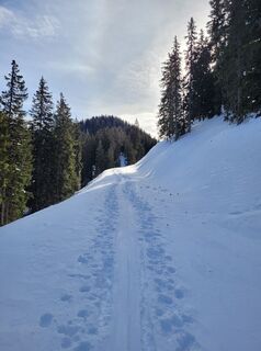 Foto da schenkeli lungo il tour