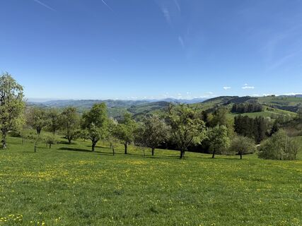 Fotografia z Wolfgang Geyer na trase