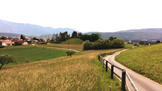 Ausblick entlang der Tour rund um den Oswaldiberg