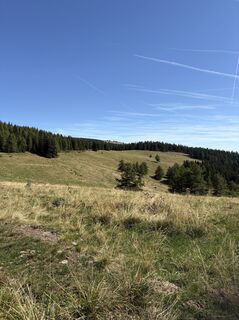 Photo de Reinhard Frewein le long du parcours