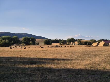 Foto von Péter Csomor entlang der Tour