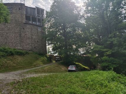 Foto de Bullwidi a lo largo del recorrido