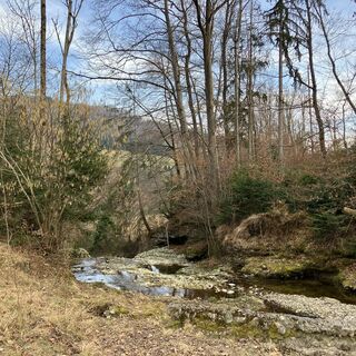 L1 Dürnbachtrails