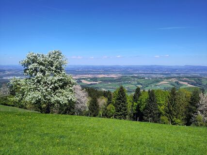 Fotografia z Chr Lenz na trase