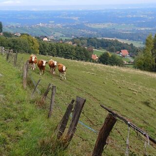 Foto de Franz Jandl a lo largo del recorrido