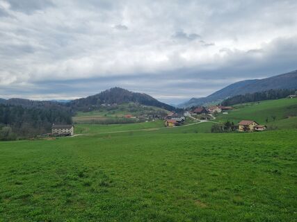 Fotografie z Grizli na trase