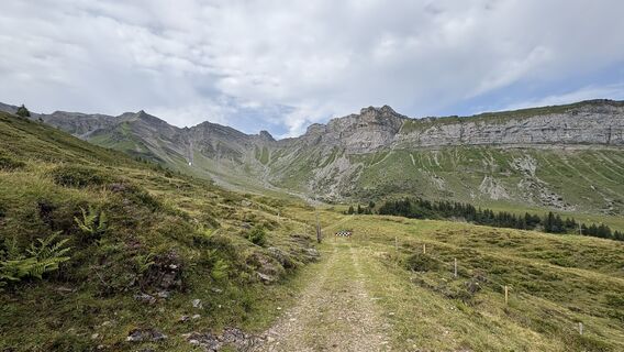 Photo de Cyrille Desbazeille le long du parcours