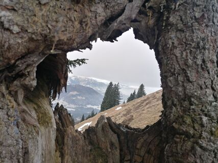 Foto von Turbinio entlang der Tour