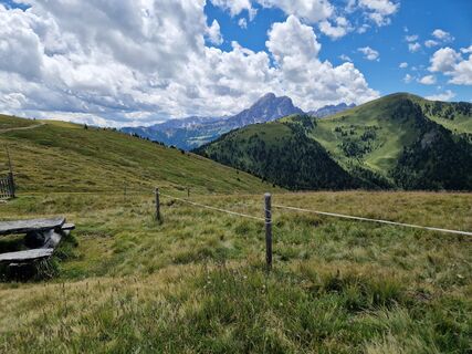 Foto från Anke H. under resans gång