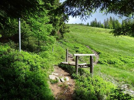 Weidezaun Überquerung