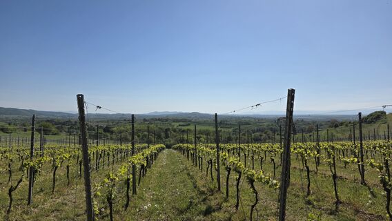 Foto von W B MA entlang der Tour