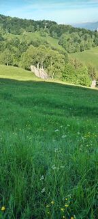 Foto de Renzo Marseu a lo largo del recorrido