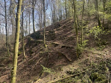 Foto fra Gerhard Jax underveis på turen