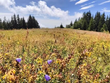 Foto von Lena Eder entlang der Tour