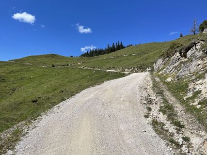 Фото с сайта Johannes во время экскурсии