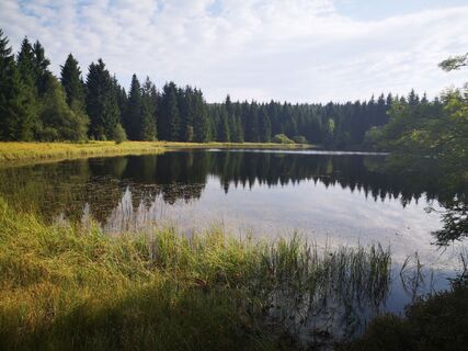 Foto von Denis Trapp 1 entlang der Tour