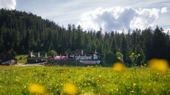 Wildmoosalm im Sommer